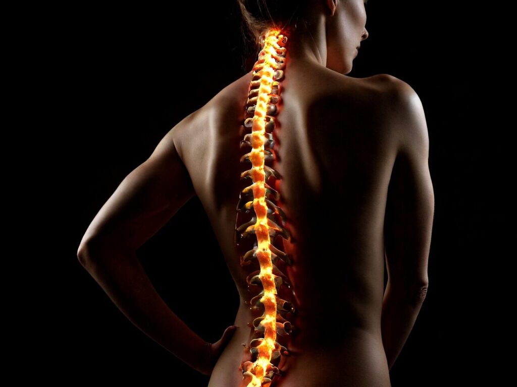 ai generated, woman, back, physio, spine, physical therapy, body, skin, female, pose, health, therapy, massage, treatment